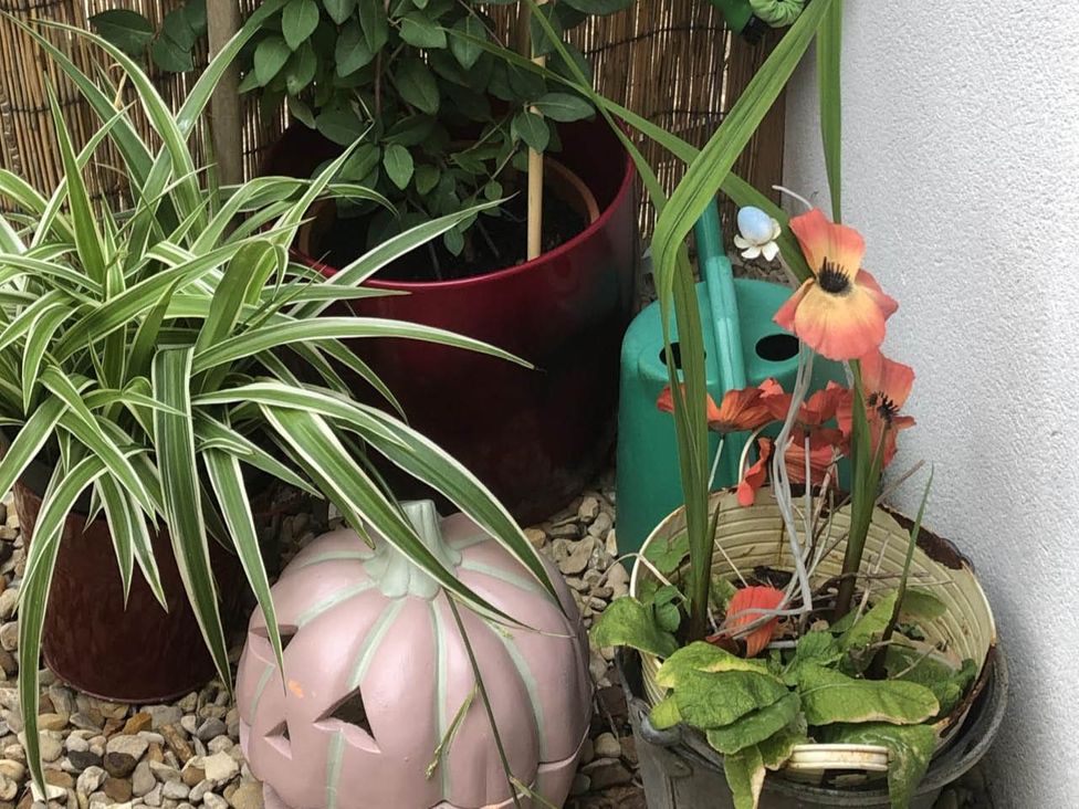 A garden with various plant pots and a pink pumpkin-shaped planter at Cozy Nook boutique Cottage Oakham