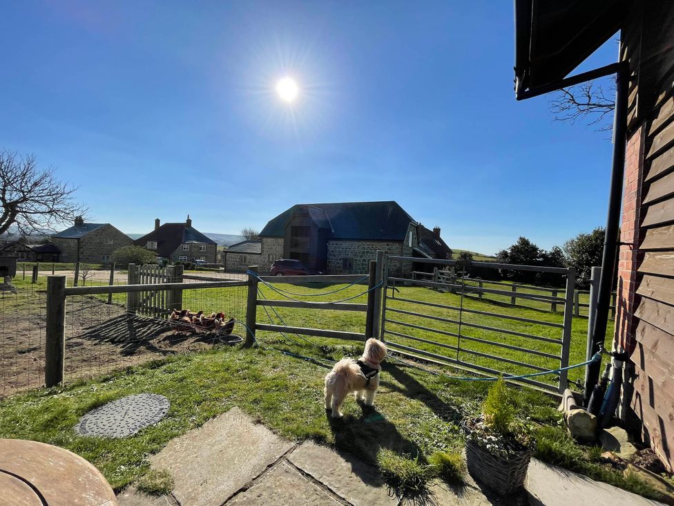 A fenced yard with a dog and houses under a clear sky at Farmhouse Sleeps 5 Near Alton Towers Peak District, Shorwell