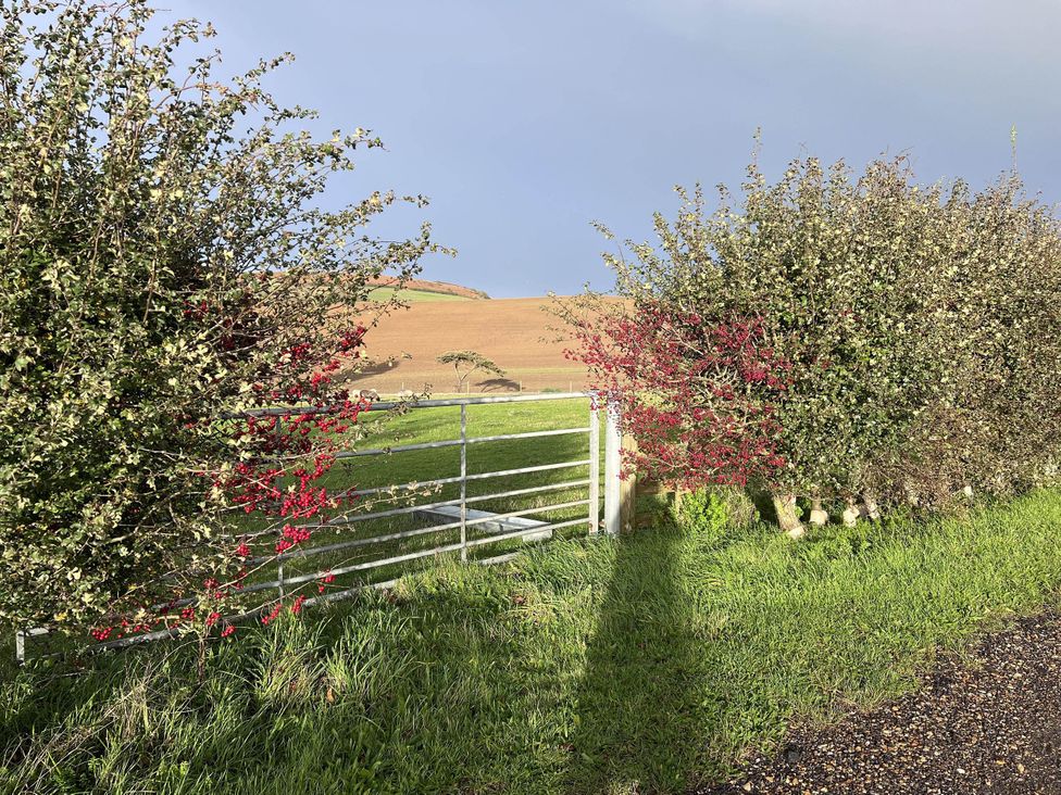 A gate and bushes in a field near hills at Farmhouse Sleeps 5 Near Alton Towers Peak District in Shorwell