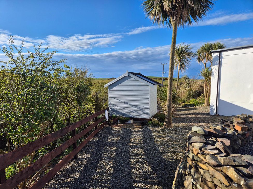 A garden with a shed and palm trees at Beautiful 2Bed semi rural cottage enclosed garden Stranraer