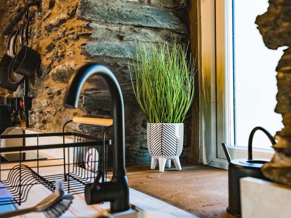 A kitchen with a sink and a potted plant at The Milking Shed at Pencraig Pet Friendly near Holyhead