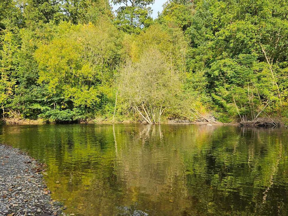 A riverbank with trees and reflections in the water at Builth Wells