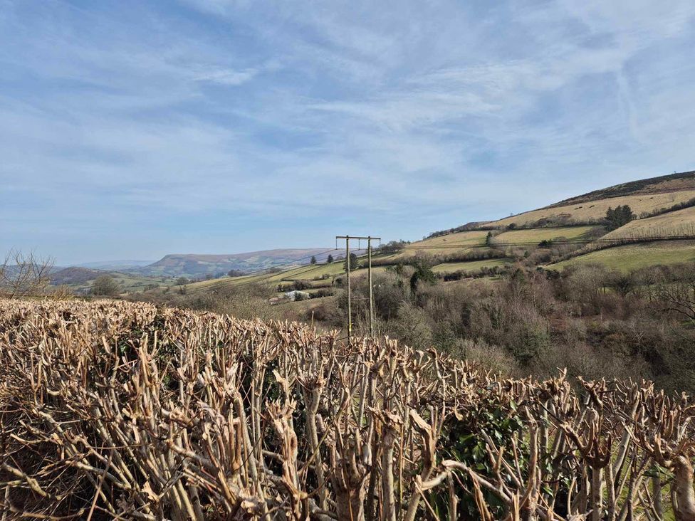 A landscape view with hills and a hedge at a location in Builth Wells