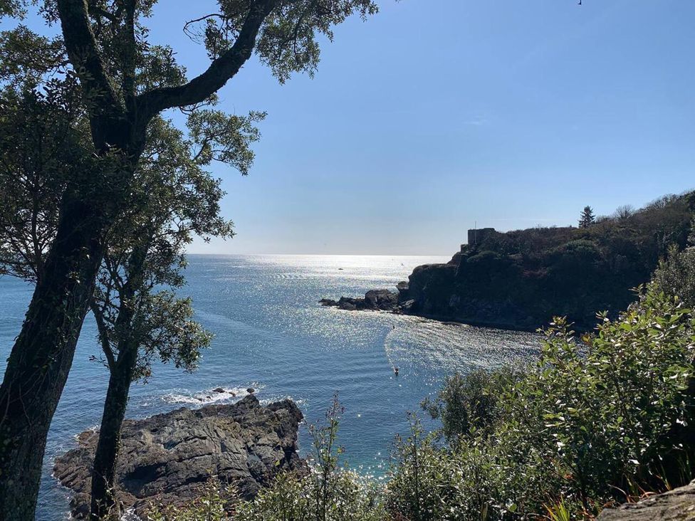 A view of the ocean with a tree and rocks at The Slipway Fowey Harbour with Garden Fowey