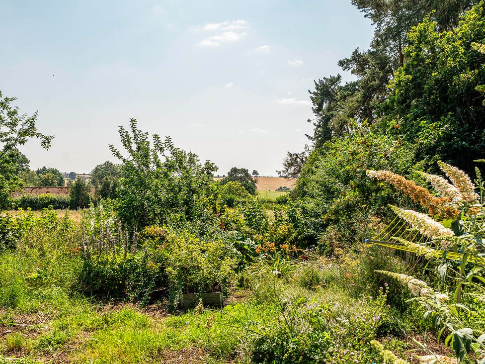 A garden with various plants at Alpaca Farm Valley Views Sleeps 4 Parking Pets in Husthwaite