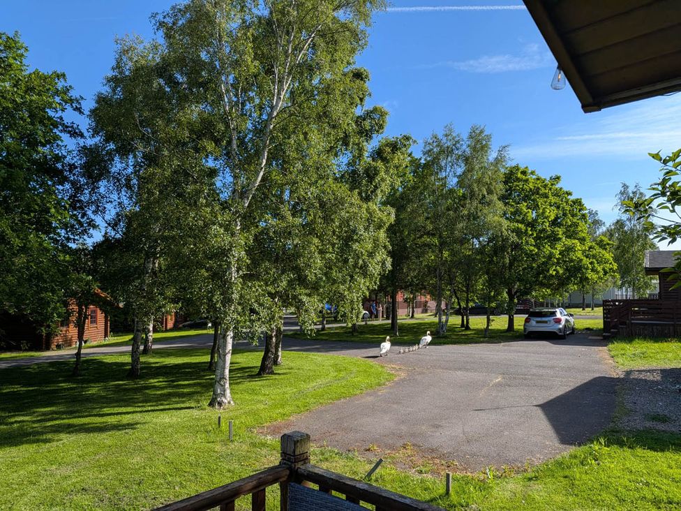 An outdoor area with trees and a car at Felmoor Park Northumberland Lodge with Hot Tub near Felton