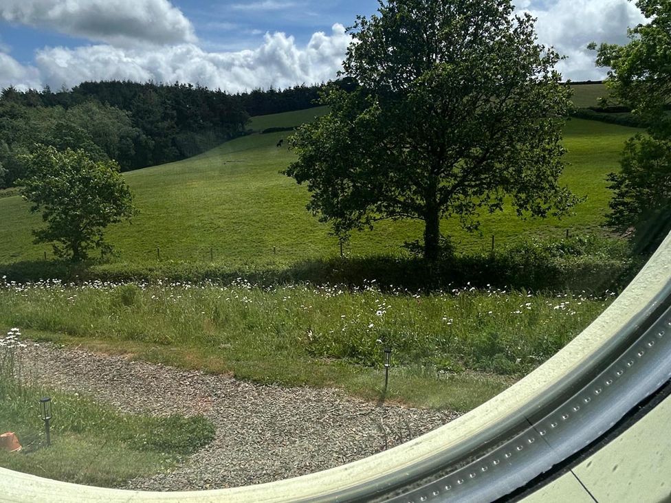 A view of a field with trees and flowers from a window