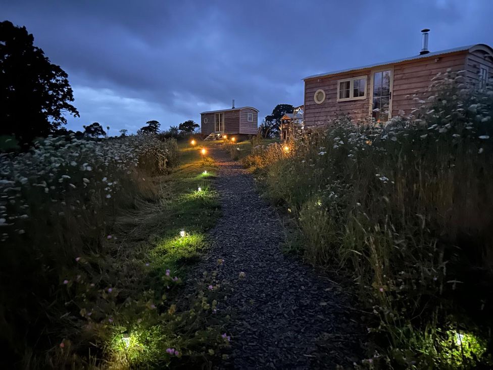 A path leading to cabins with lights in the grass at 
