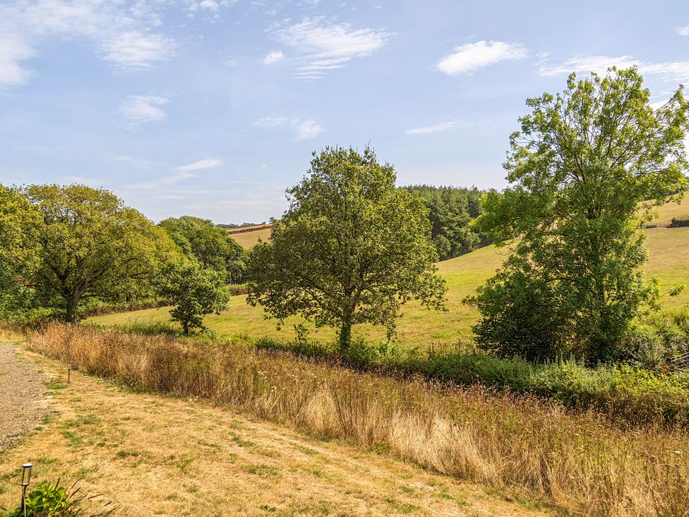 A view of trees and a field at Cosy Luxury Owls Roost Hut with Private Hot Tub Little Deptford Farm near Umberleigh