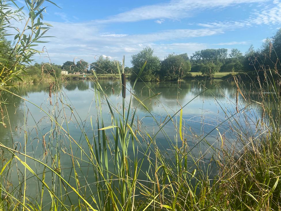 A pond with reeds and grass at 1Bed pod cabin in beautiful surroundings Wrexham
