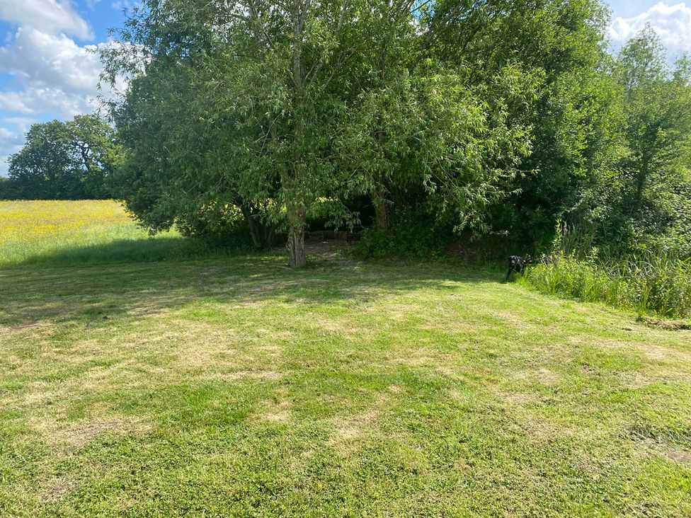 An outdoor space with a tree and grassy area at 1Bed pod cabin in beautiful surroundings Wrexham
