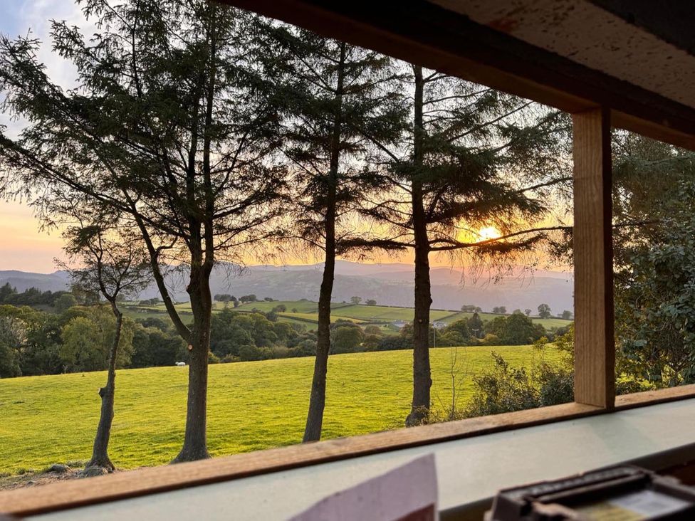 A view of trees and fields at sunset