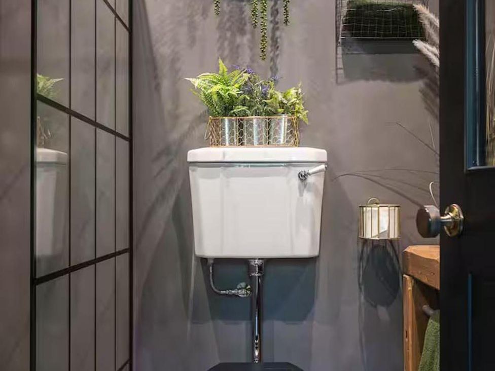A bathroom with a toilet and plants at the property