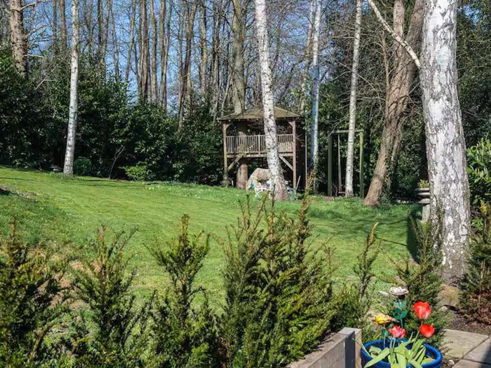 A garden with a treehouse and swing at 