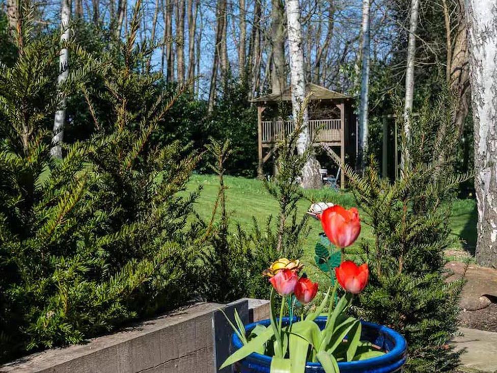 A garden with tulips in a pot and a treehouse in the background at The Old Barn in Manchester