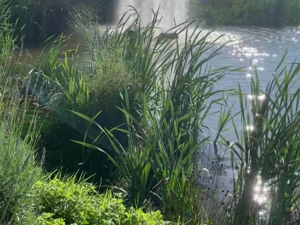 A pond with a fountain surrounded by grass and reeds at Charming Caravan in beautiful Seton Sands Cockenzie And Port Seton