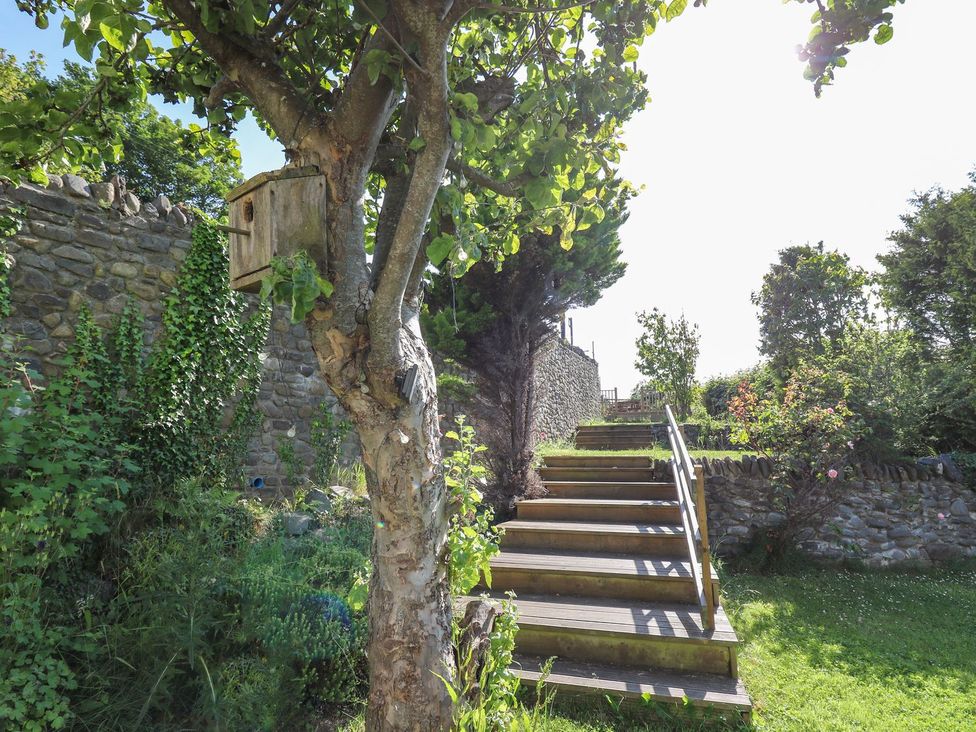 A garden with a tree, birdhouse, and wooden stairs at Dewi Villa Apartment Aberaeron