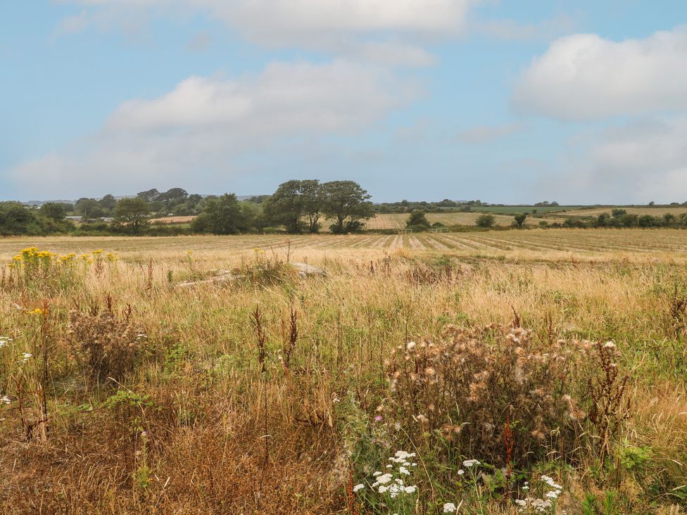 A field with grass and trees at The Hideaway at Monterey Helston