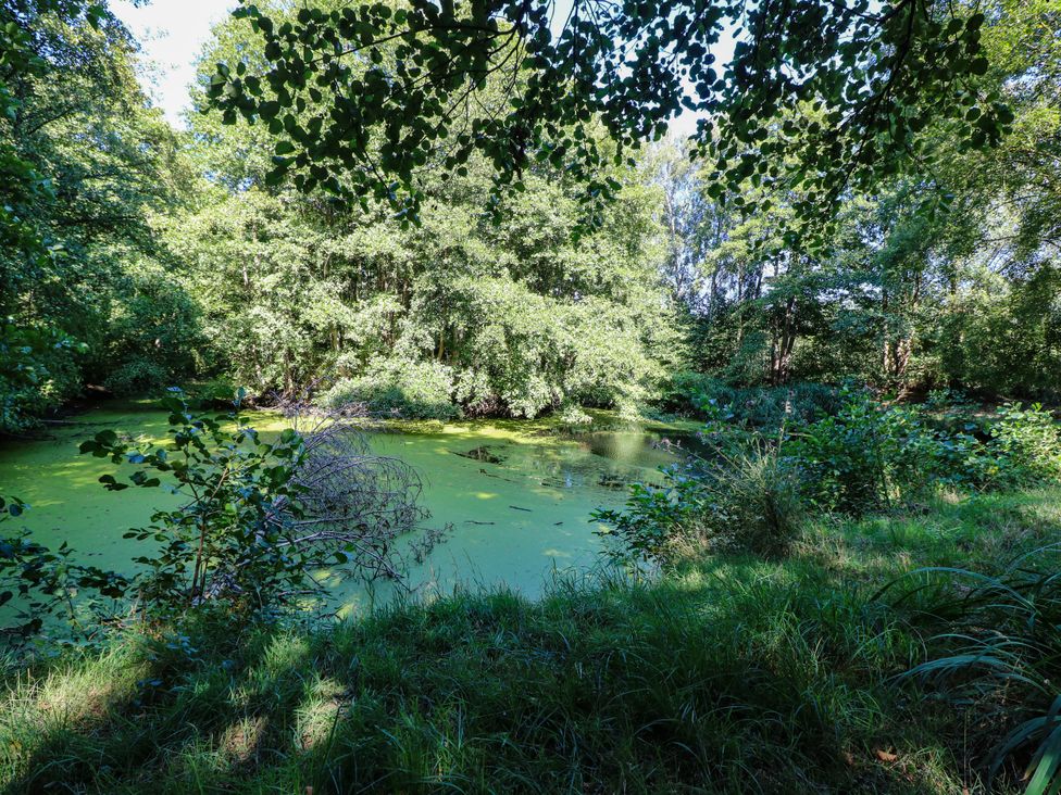 A pond surrounded by trees and grass at Ladies of Bolton in Horsford