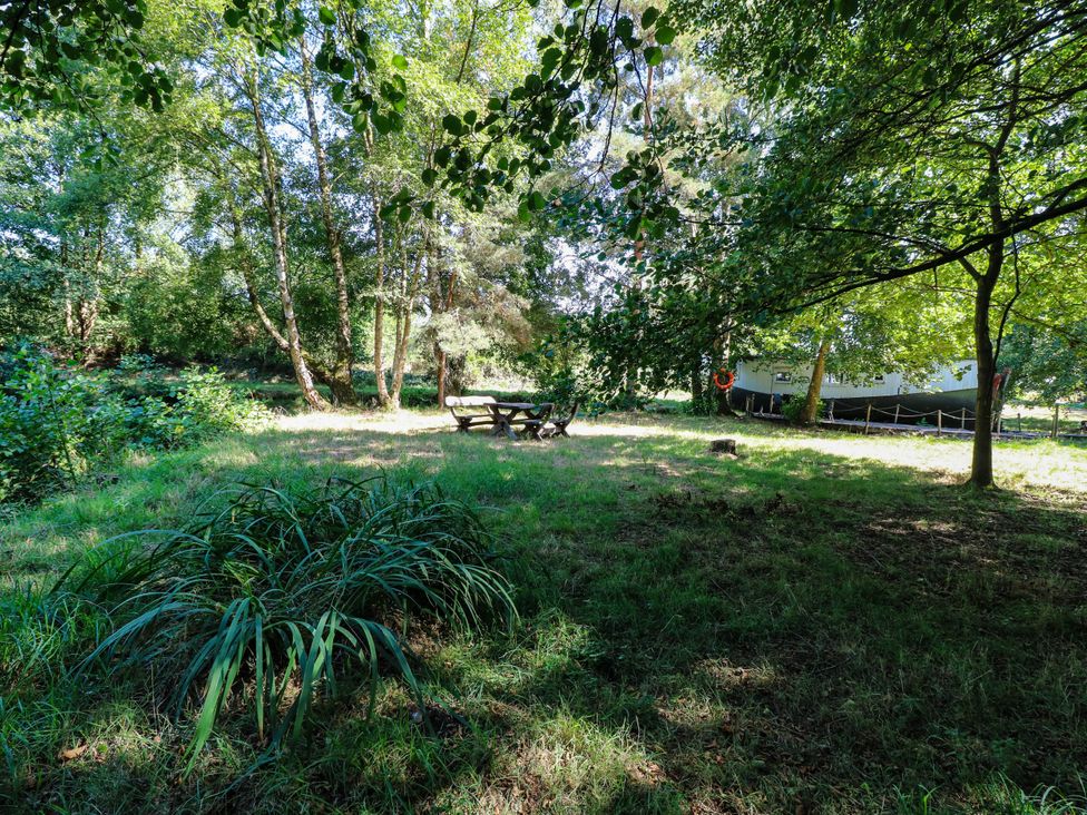 A garden area with trees and a picnic table at Ladies of Bolton in Horsford