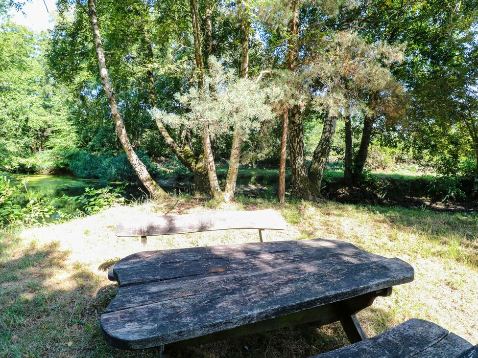 A picnic table near a river surrounded by trees at Ladies of Bolton in Horsford