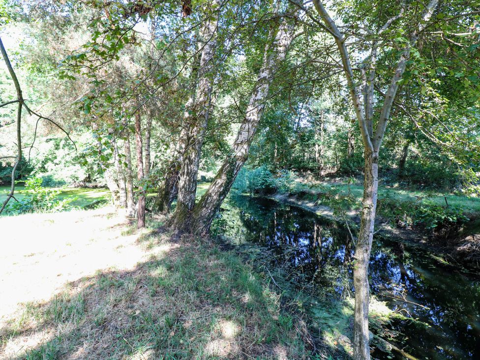 A scene with trees along a stream in Ladies of Bolton, Horsford