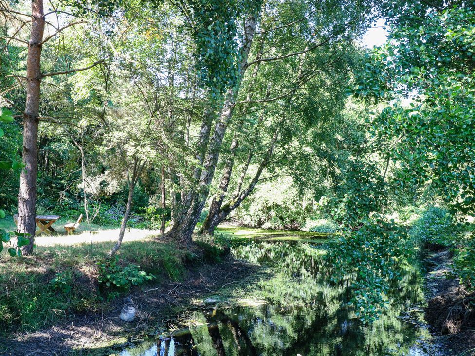 A view of a pond with trees and a table and chair at Ladies of Bolton Horsford