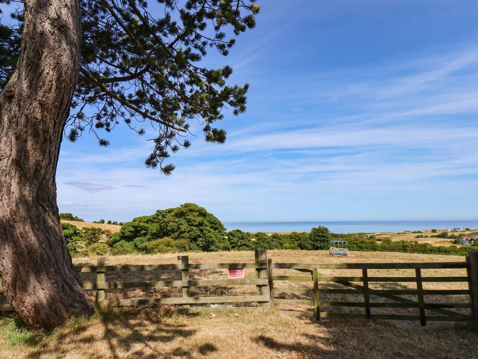 A view of a tree and ocean from a field at Farmhouse in Whitby