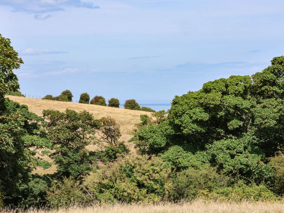 A view of trees and hills with ocean in the distance at Farmhouse Whitby