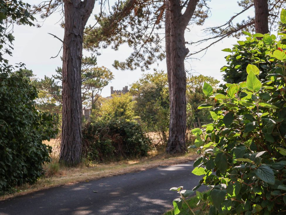 A view of trees and bushes along a road with a building in the background at Farmhouse Whitby