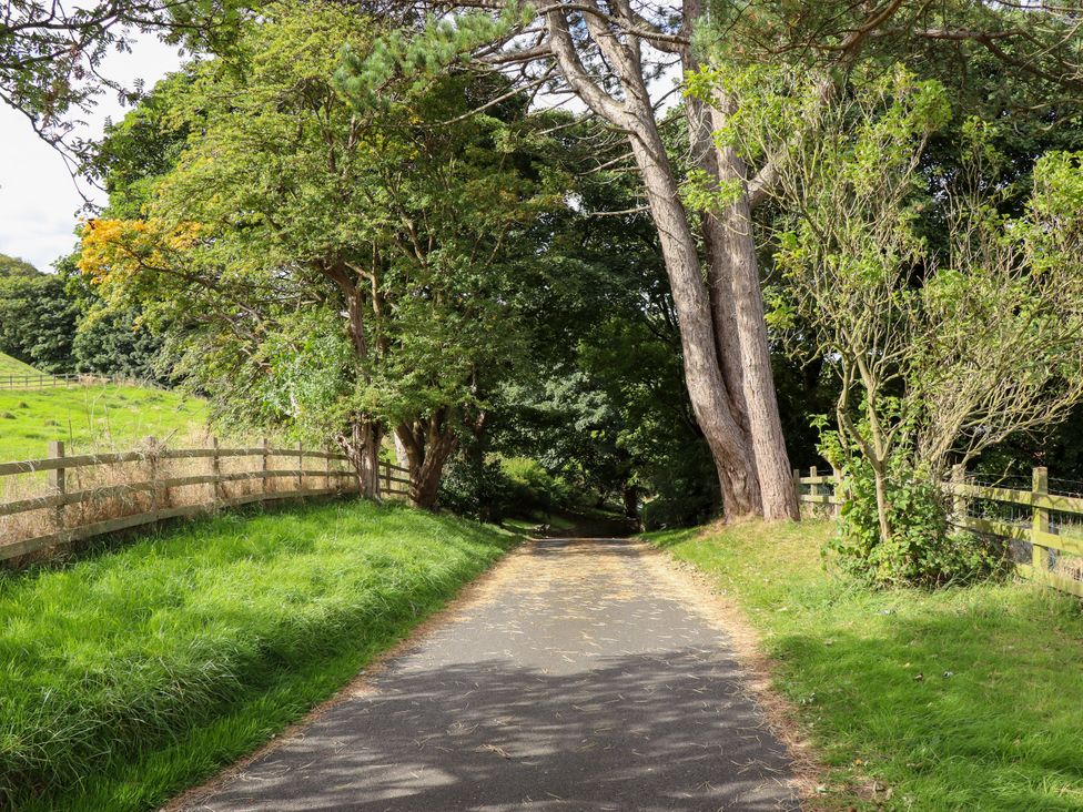 A pathway surrounded by trees and a fence at Ewe Cote Hall Farmhouse in Whitby