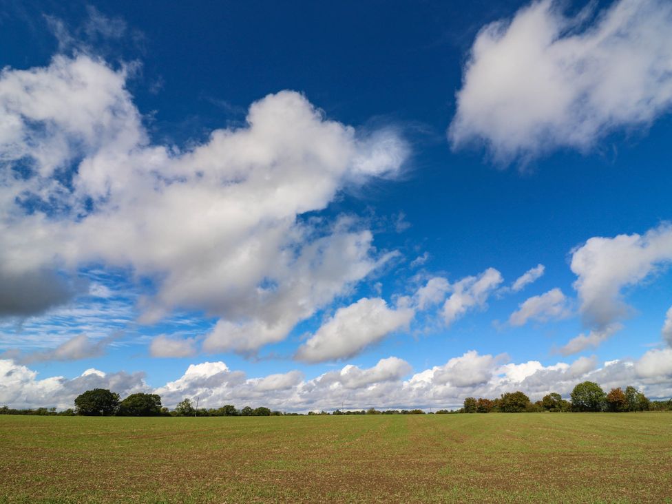 A field with trees under a blue sky with clouds at Oak Lodge Battisford near Stowmarket