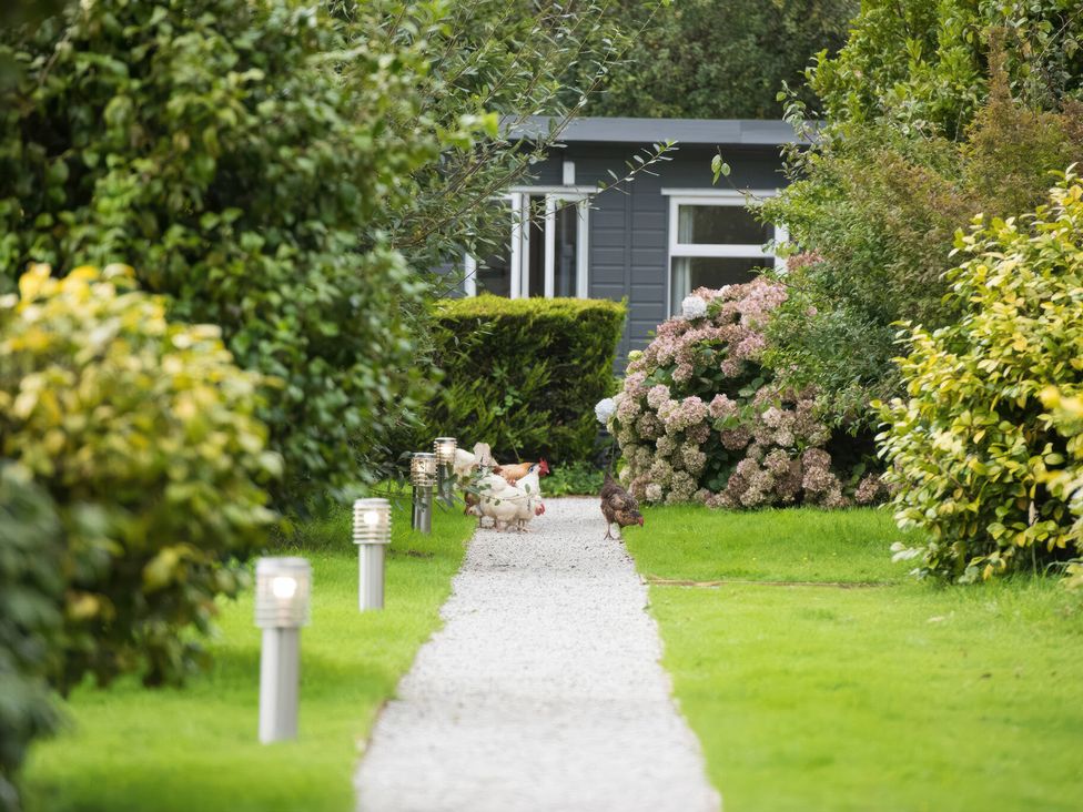 A garden with chickens on a gravel pathway at Cuddle Cabin in Constantine