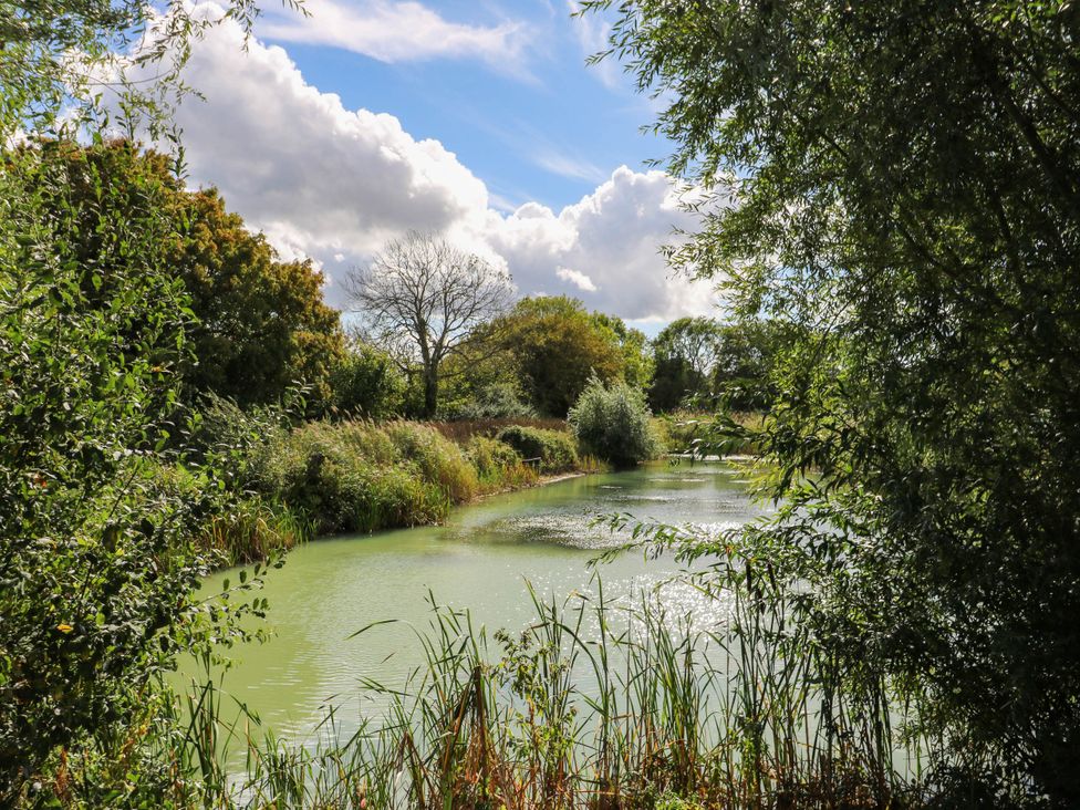 A pond surrounded by trees and grasses at Willow Lodge in Stowmarket