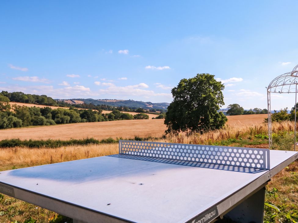 An outdoor table tennis table set in a field with a tree and hills in the background at The Warm Hearth in Hereford