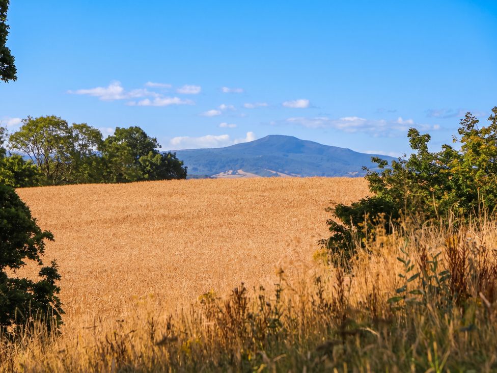 A field with a mountain in the distance at The Warm Hearth in Hereford
