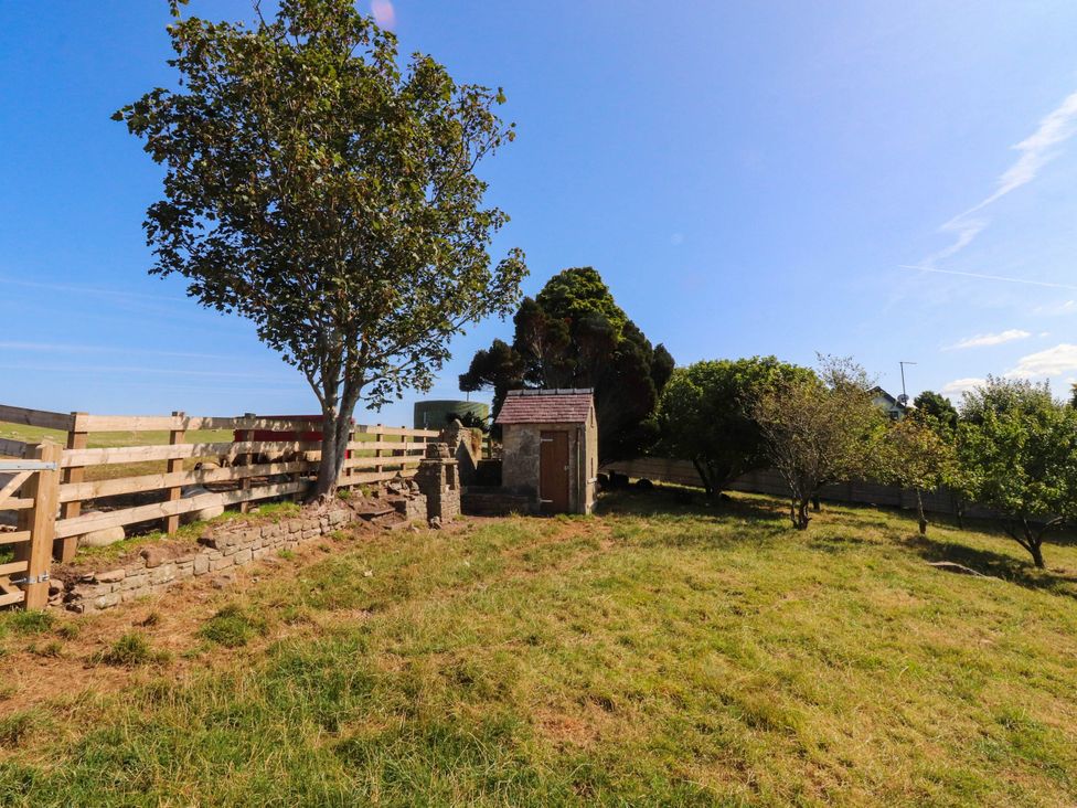 A garden with a shed and trees at The Swallows near Glasson