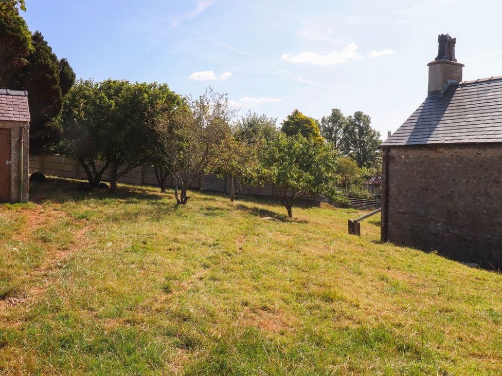 A garden with trees and a shed at The Swallows near Glasson
