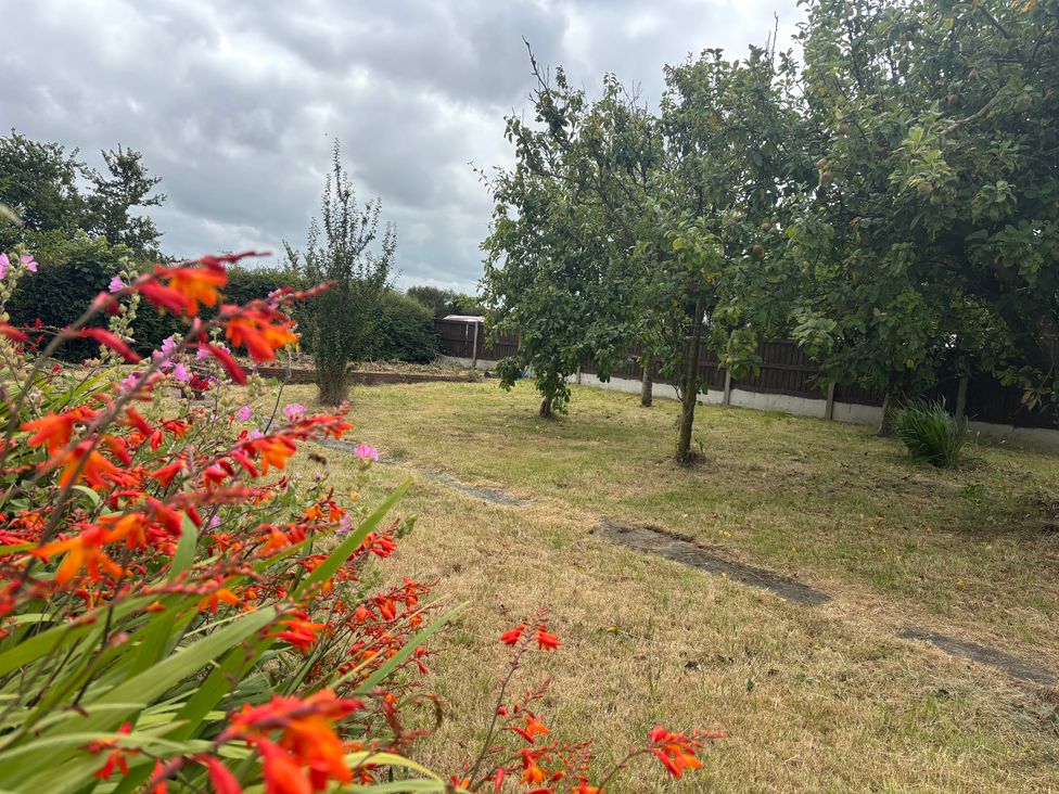 A garden with flowers, trees and a shed at Wilpol in Llanerchymedd