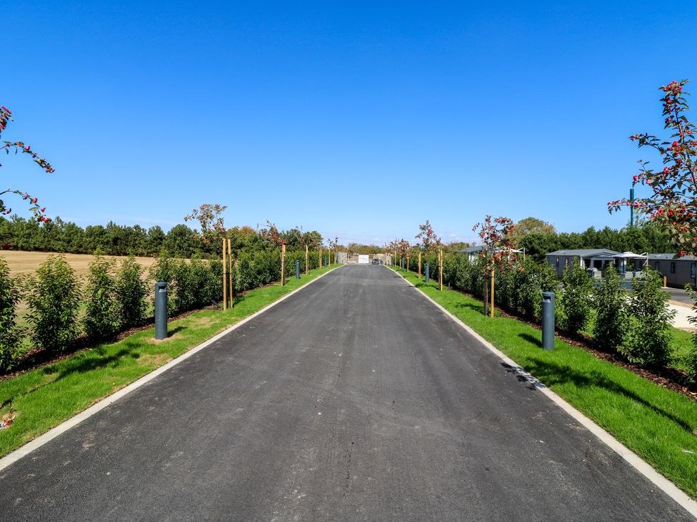 A road lined with trees and bushes at Lakewood Plot 5 in St. Osyth