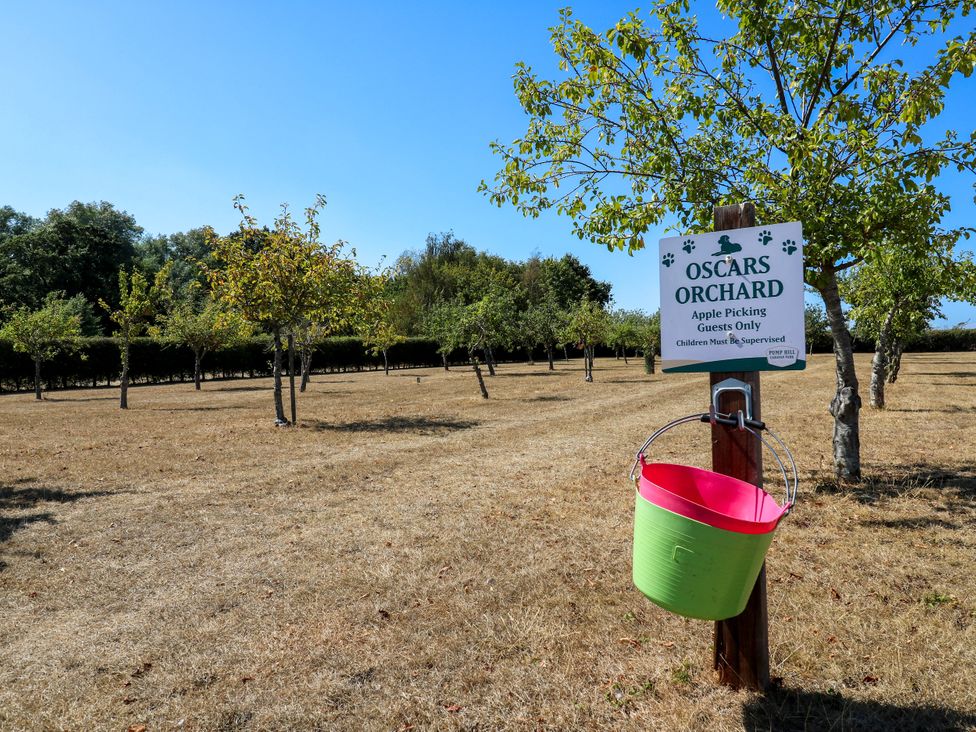 An orchard with apple trees and a sign at Oscars Orchard in St. Osyth