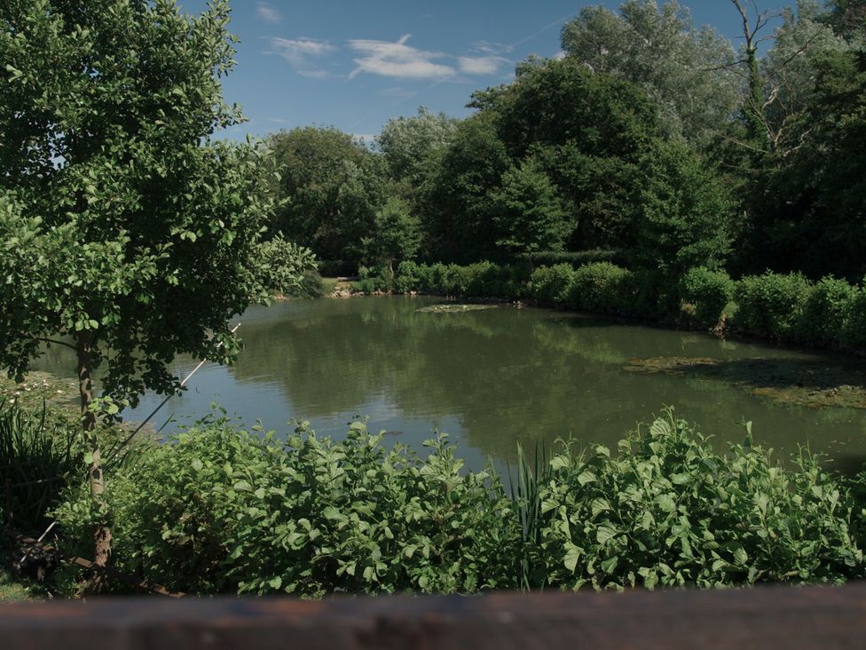 A pond surrounded by trees and bushes at Lakewood Plot 5 St. Osyth