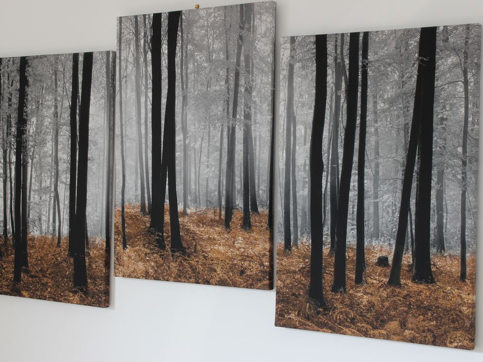 Three framed photographs of a forest at Oliver Wests Apartment 1 in Scarborough