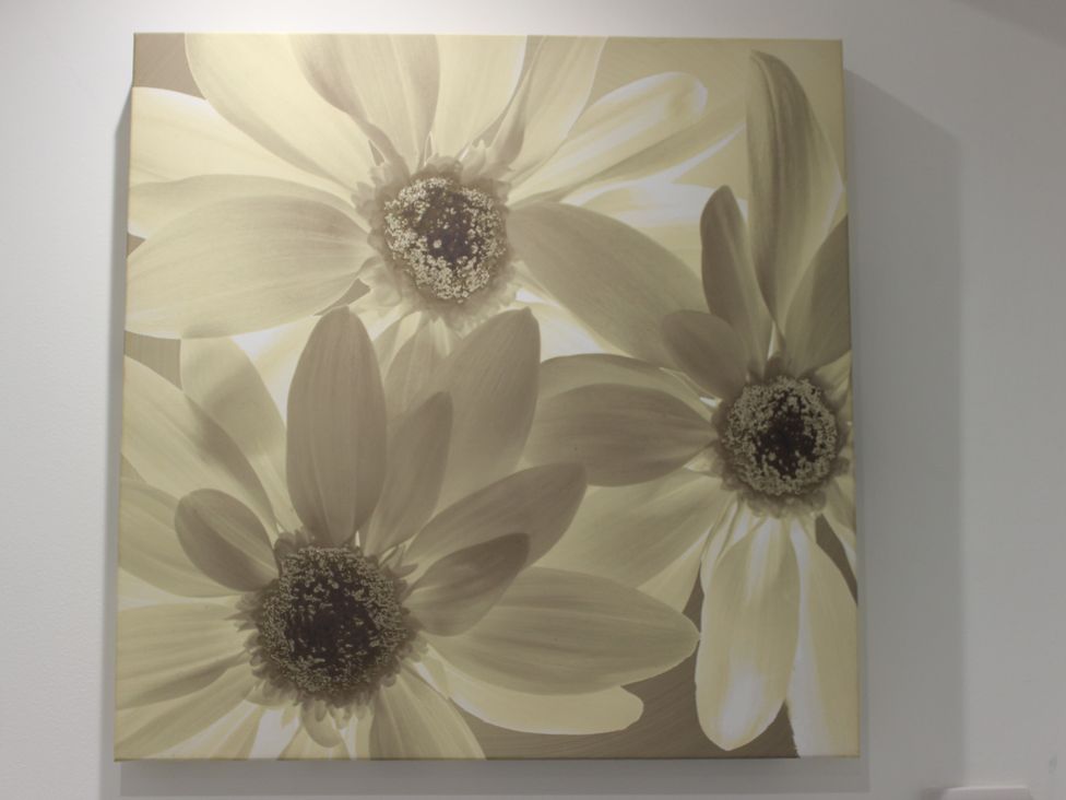A floral artwork featuring three large flowers at Oliver Wests Apartment 1 in Scarborough