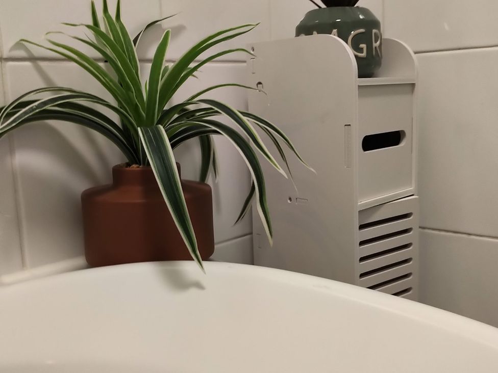 A bathroom with a plant and storage unit beside a bathtub at Oliver Wests Apartment 4 Scarborough