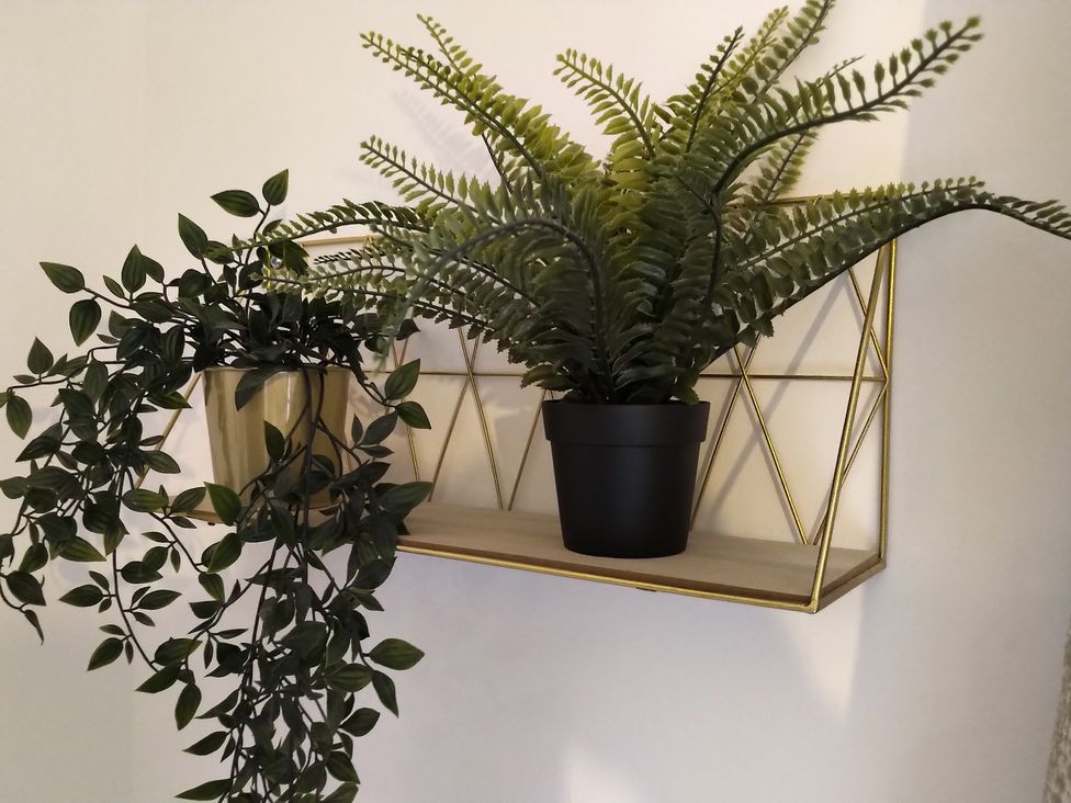A shelf with potted plants in Oliver Wests Apartment 4 Scarborough