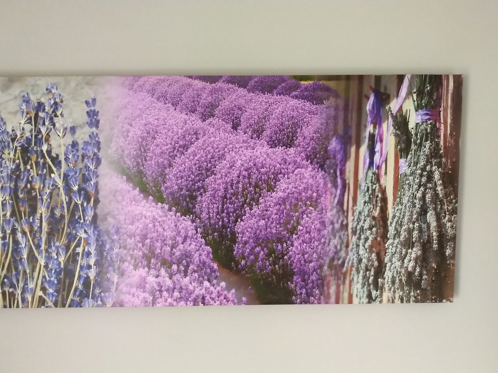 A wall art piece featuring purple flowers and lavender in a decorative setting at Oliver Wests Apartment 4, Scarborough