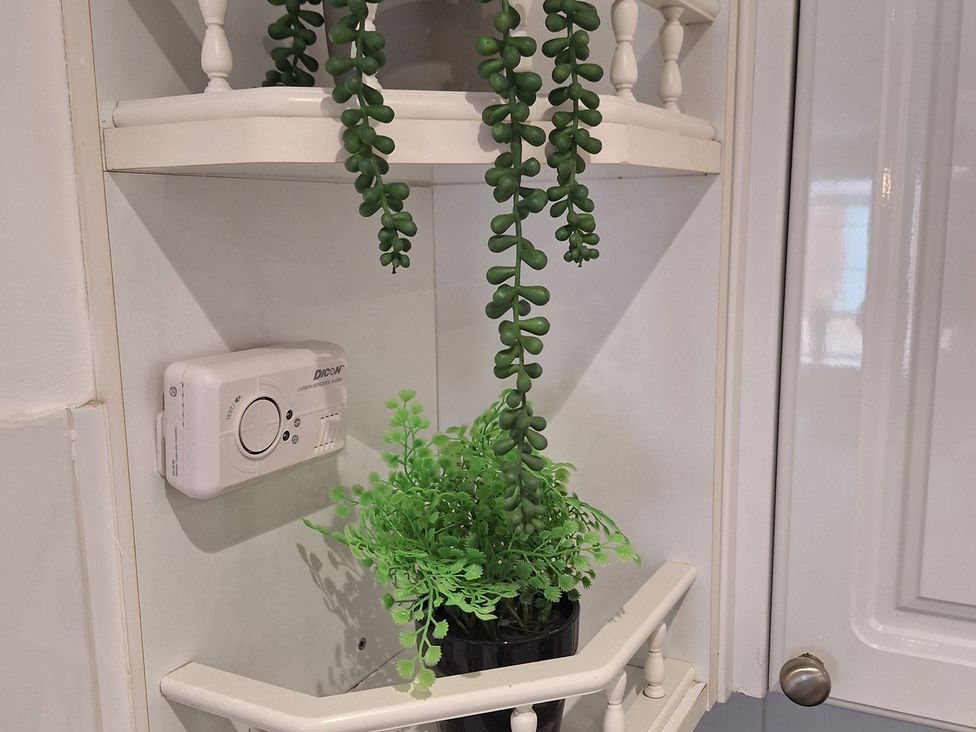 A shelf with a potted plant and a smoke alarm at Old Coach House Apartment in Scarborough