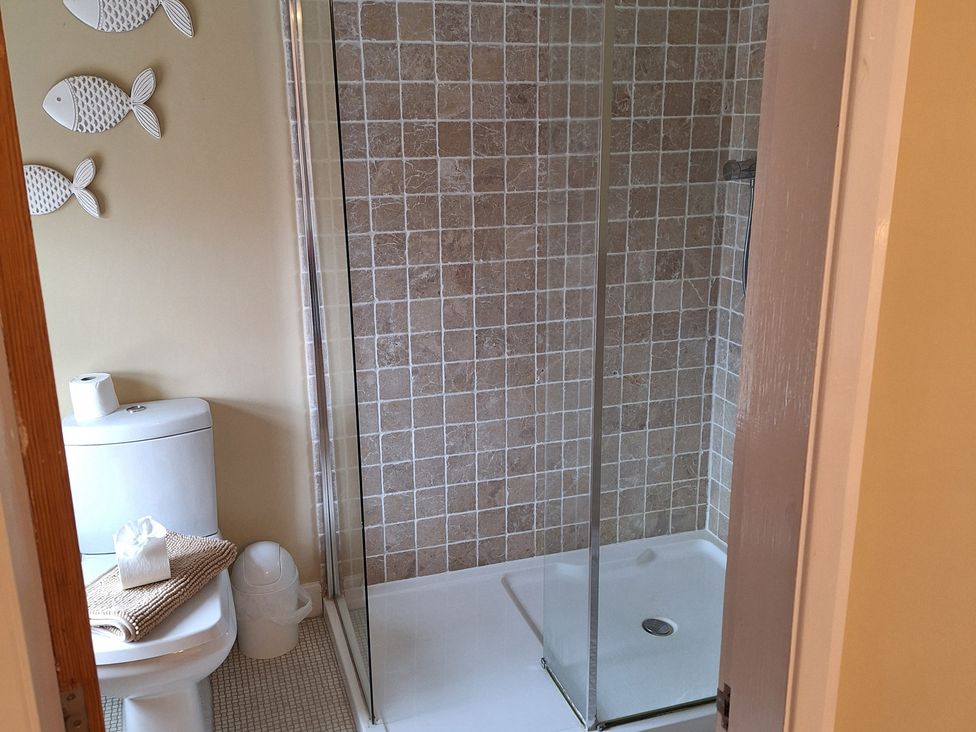 A bathroom with a shower and toilet at Fryers Cottage Seamer, North Yorkshire