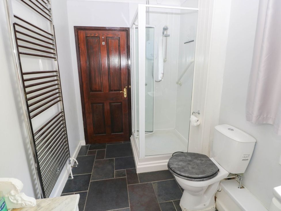 A bathroom with a shower, toilet, and heated towel rail at Coedllys Uchaf Cottage